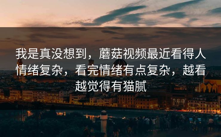 我是真没想到，蘑菇视频最近看得人情绪复杂，看完情绪有点复杂，越看越觉得有猫腻