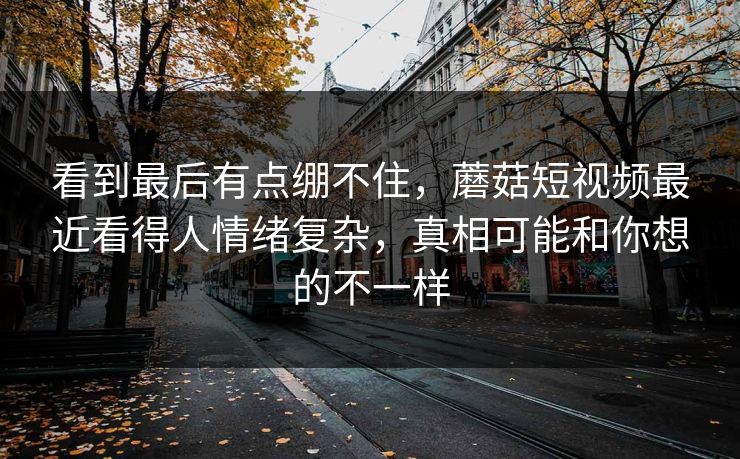 看到最后有点绷不住，蘑菇短视频最近看得人情绪复杂，真相可能和你想的不一样
