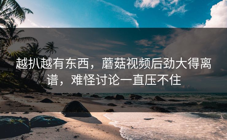 越扒越有东西，蘑菇视频后劲大得离谱，难怪讨论一直压不住