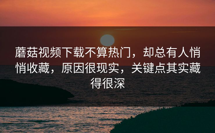 蘑菇视频下载不算热门，却总有人悄悄收藏，原因很现实，关键点其实藏得很深