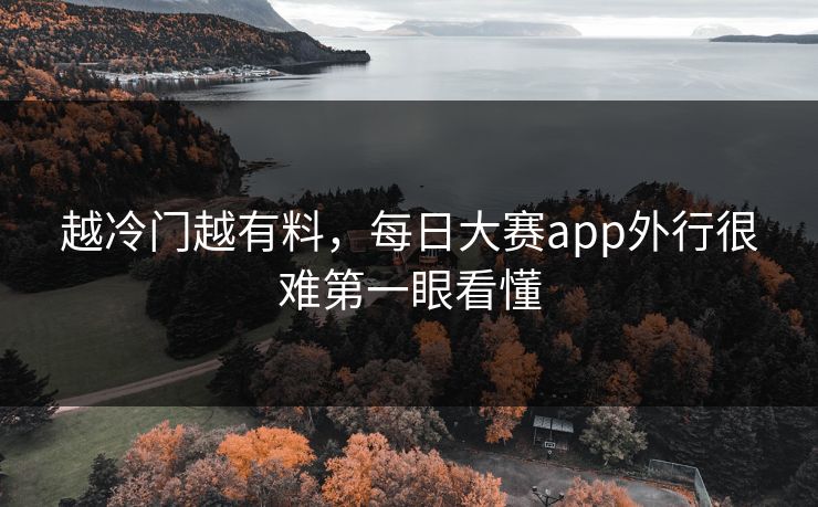 越冷门越有料，每日大赛app外行很难第一眼看懂