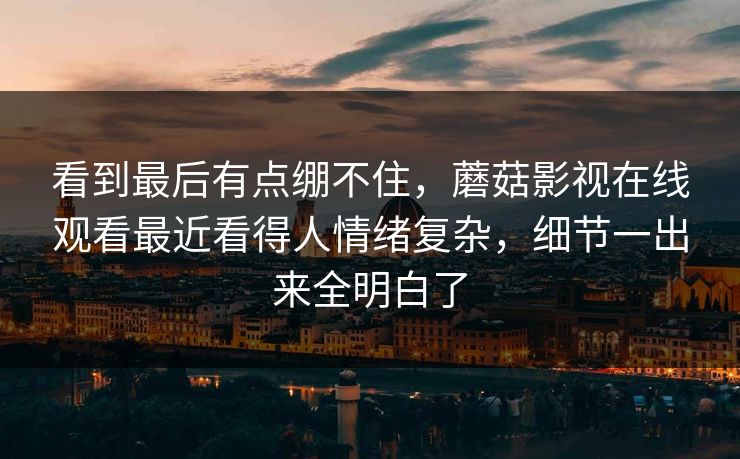 看到最后有点绷不住，蘑菇影视在线观看最近看得人情绪复杂，细节一出来全明白了