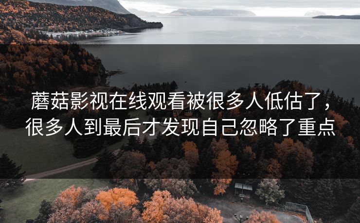 蘑菇影视在线观看被很多人低估了，很多人到最后才发现自己忽略了重点