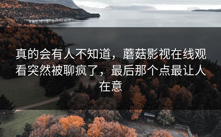 真的会有人不知道，蘑菇影视在线观看突然被聊疯了，最后那个点最让人在意