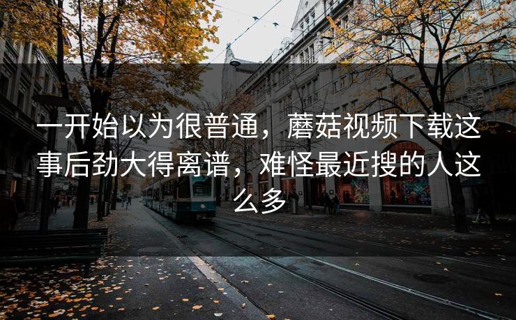 一开始以为很普通，蘑菇视频下载这事后劲大得离谱，难怪最近搜的人这么多
