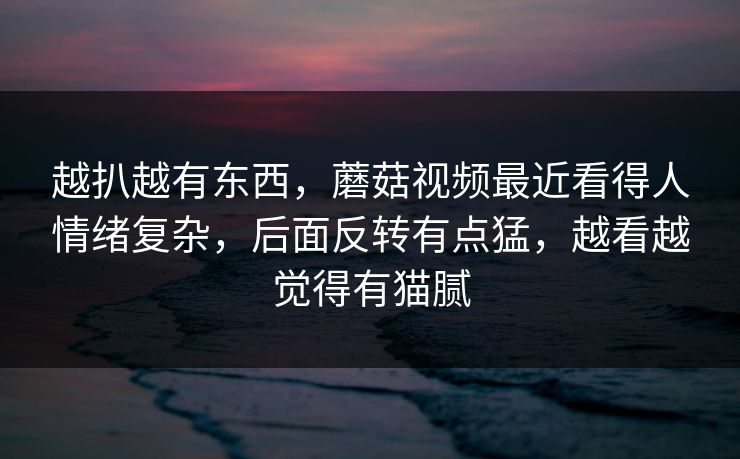 越扒越有东西，蘑菇视频最近看得人情绪复杂，后面反转有点猛，越看越觉得有猫腻