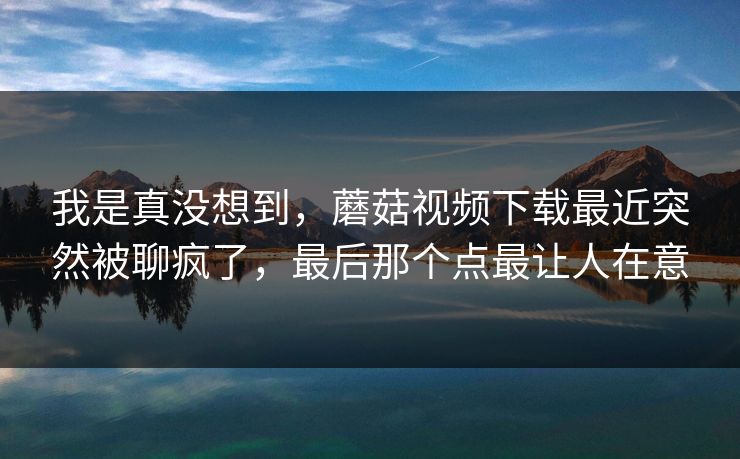 我是真没想到，蘑菇视频下载最近突然被聊疯了，最后那个点最让人在意