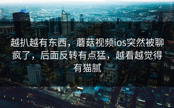 越扒越有东西，蘑菇视频ios突然被聊疯了，后面反转有点猛，越看越觉得有猫腻