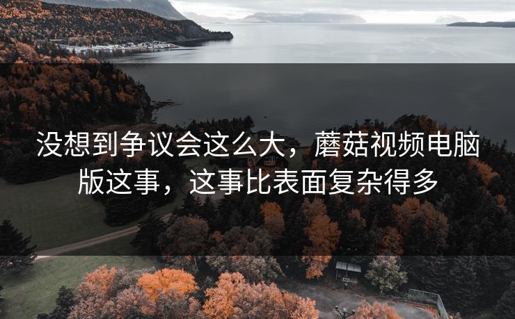 没想到争议会这么大，蘑菇视频电脑版这事，这事比表面复杂得多