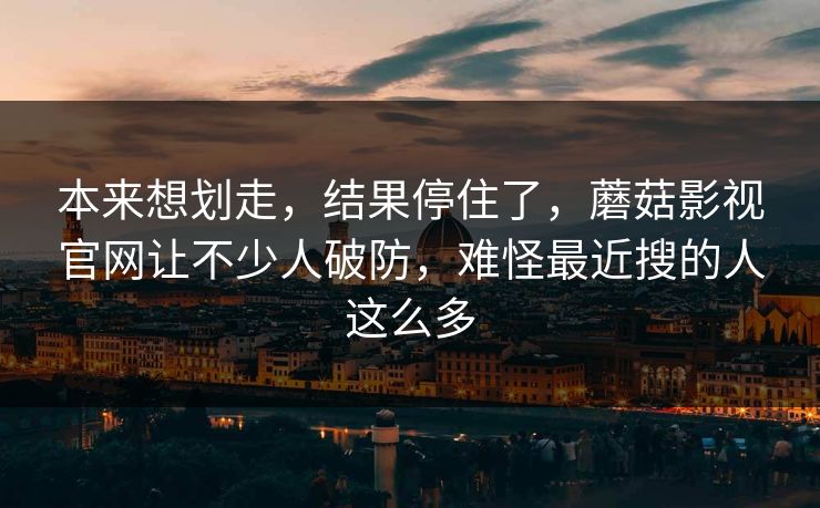 本来想划走，结果停住了，蘑菇影视官网让不少人破防，难怪最近搜的人这么多