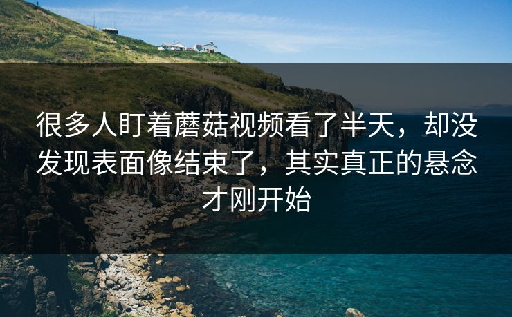 很多人盯着蘑菇视频看了半天,却没发现表面像结束了,其实真正的悬念才刚开始 很多人盯着蘑菇视频看了半天,却没发现表面像结束了,其实真正的悬念才刚开始