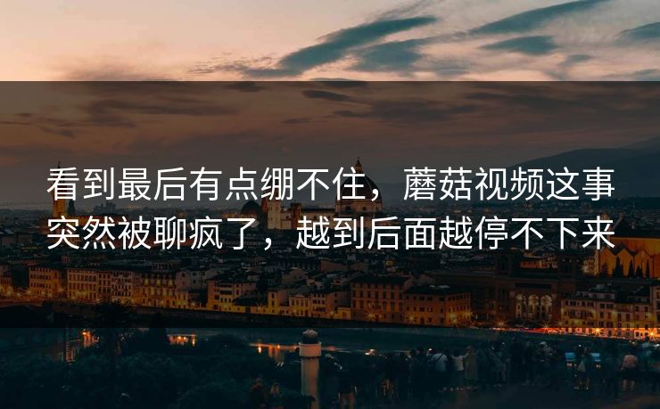 看到最后有点绷不住，蘑菇视频这事突然被聊疯了，越到后面越停不下来