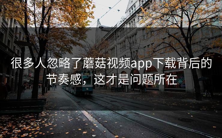 很多人忽略了蘑菇视频app下载背后的节奏感，这才是问题所在