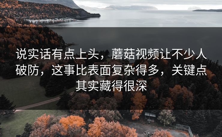 说实话有点上头，蘑菇视频让不少人破防，这事比表面复杂得多，关键点其实藏得很深