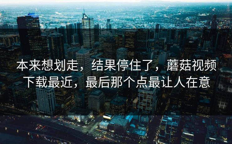 本来想划走，结果停住了，蘑菇视频下载最近，最后那个点最让人在意