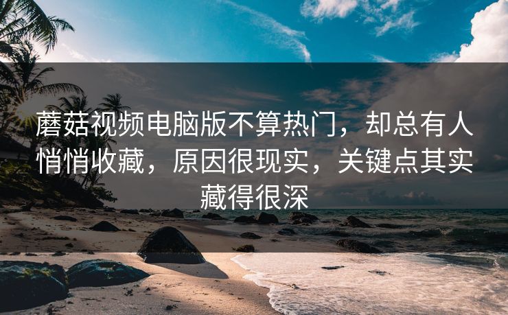 蘑菇视频电脑版不算热门，却总有人悄悄收藏，原因很现实，关键点其实藏得很深